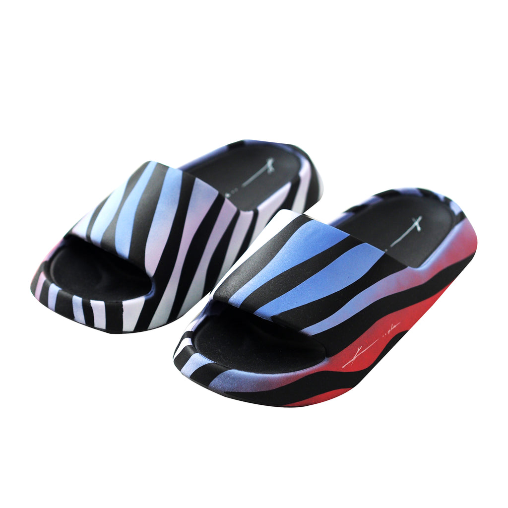 KOOSHA "Cosmic Zebra" Slides